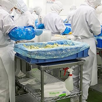 Amazon | 日本製紙クレシア(NIPPON PAPER CRECIA) クレシア